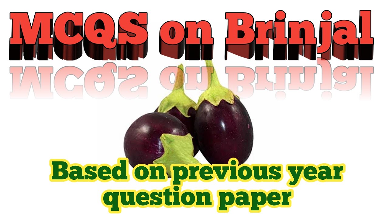 MCQS on Brinjal II MCQS Vegetable Crop YouTube