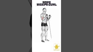 Rope Bıceps Curl Resimi