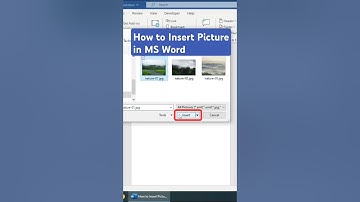 How to Insert Picture in MS Word #shorts #msword