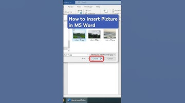 How to Insert Picture in MS Word #shorts #msword
