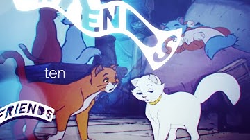 Back To Friends | ANIMASH MEP OPEN 3/15