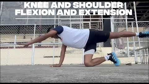 Pathfit 1: Non-Locomotor Movements