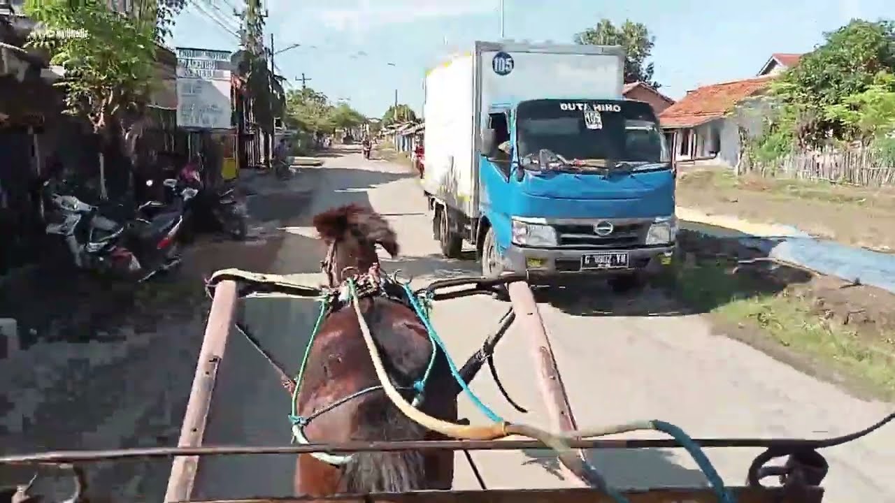 Naik Kuda Delman atau Dokar dan Melihat Cara Merakit Kuda Delman atau Dokar