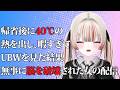 【 #雑談 】 おい、UBWは熱があるときに見るな / 他 【 酒咋たむ 】