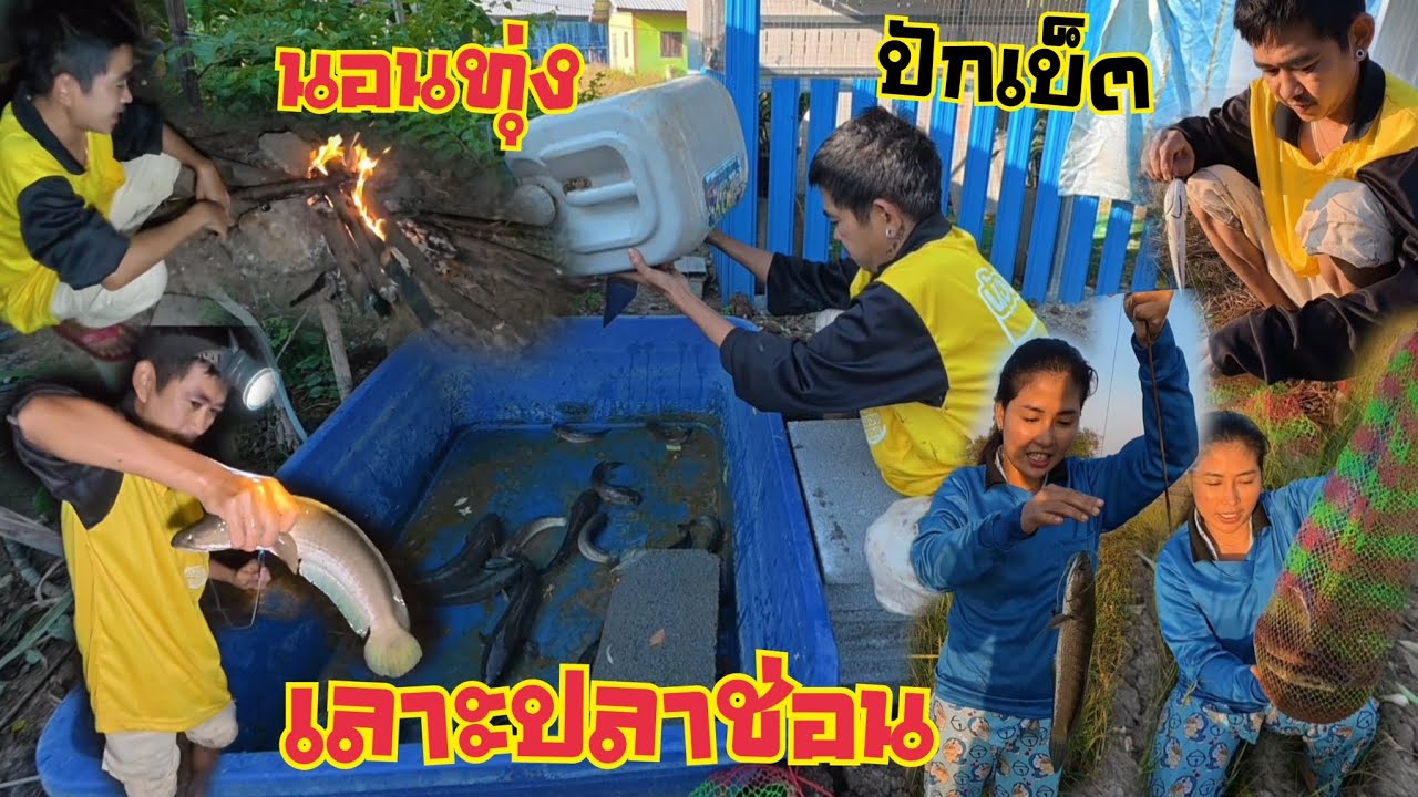 ปักเบ็ตหาปลานอนทุ่งบรรยากาศโคตรดี