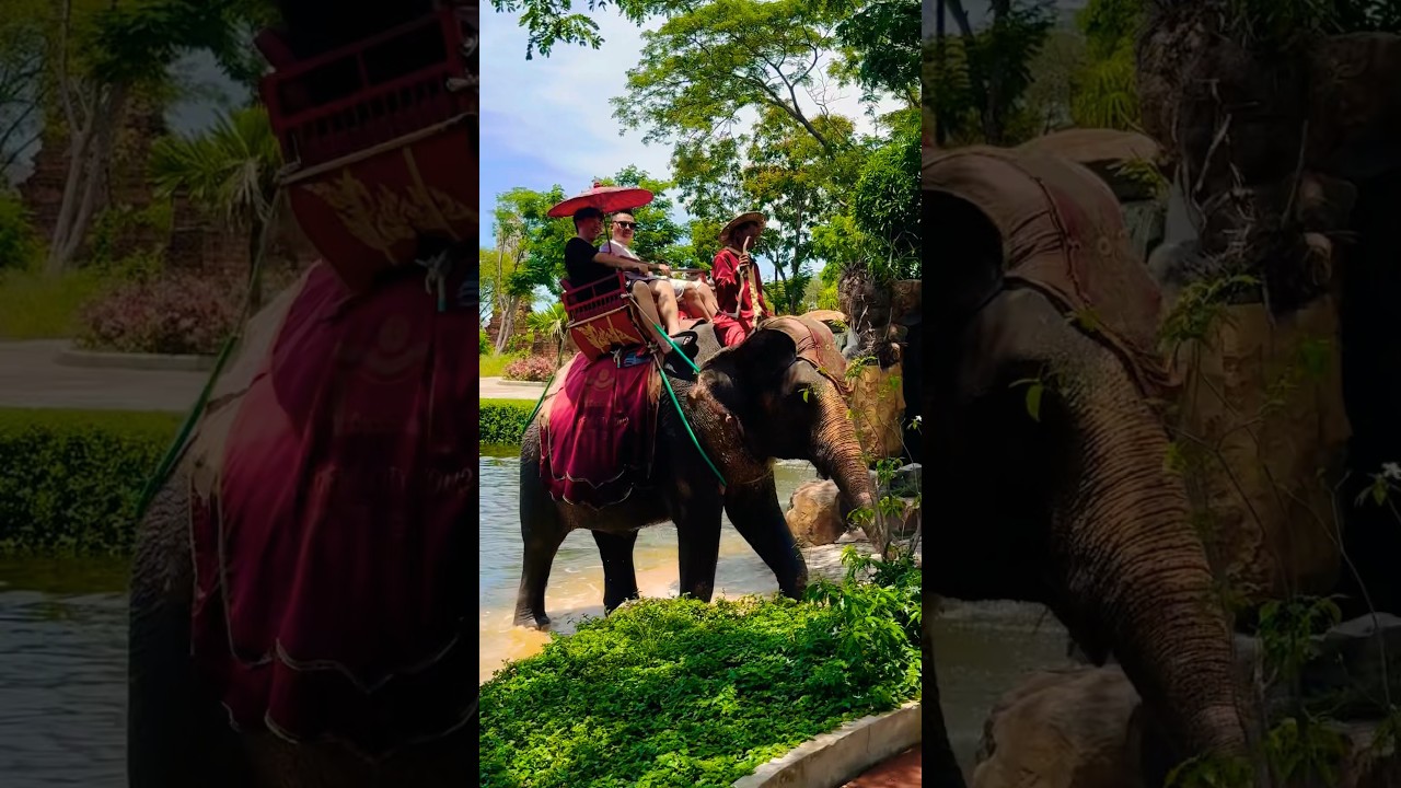 Elephant Ride in Ancient City Bangkok, Thailand 🇹🇭 🐘  