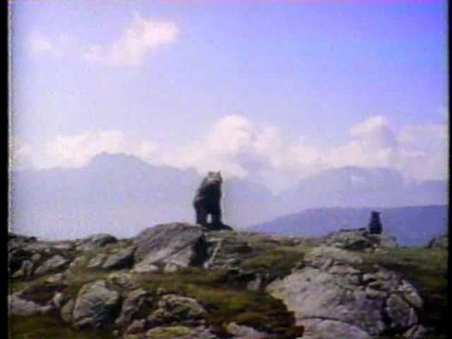 CTV Special Movie bumper The Bear 1992