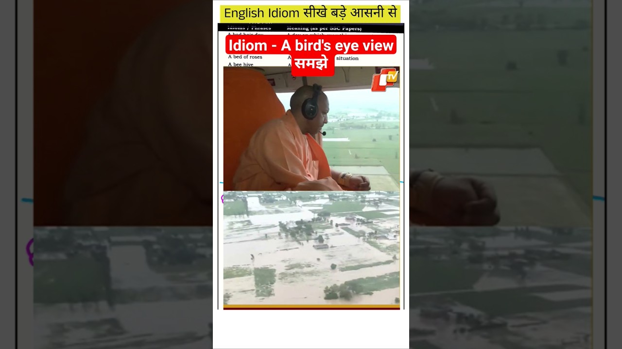 What Does the Idiom Bird Eye View Mean: Ultimate Guide Explained