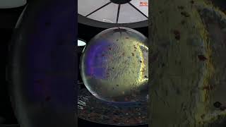 Giant Ball Aquarium #shorts