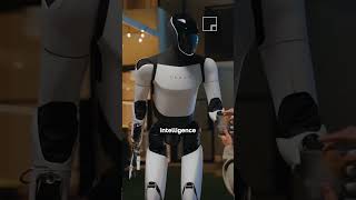 Macrohard, Le Tacle Delon Musk À Microsoft