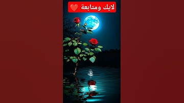 #الرقية_الشرعية #حمزة_بوديب #سورة_البقرة #دعاء_مستجاب #القارئ_حمزة_بوديب #video #اكسبلور #viral #لاي