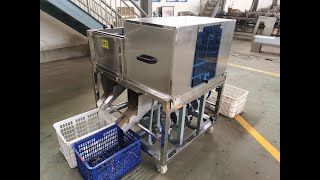 Dates washing drying sorting Pitter machine
