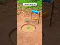 “Unknown Parrot Trap” #funny #trap #trap #birds #comedy