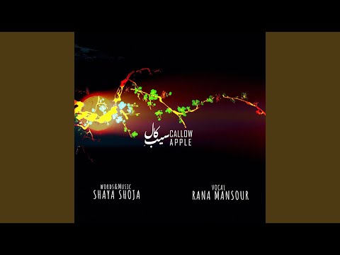 Sibe Kaal Callow Apple 