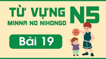Từ vựng N5 bài 19 | Minna no Nihongo | Từ vựng mẫu câu