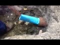 Trenchless sewer replacement with epoxy sewer lining