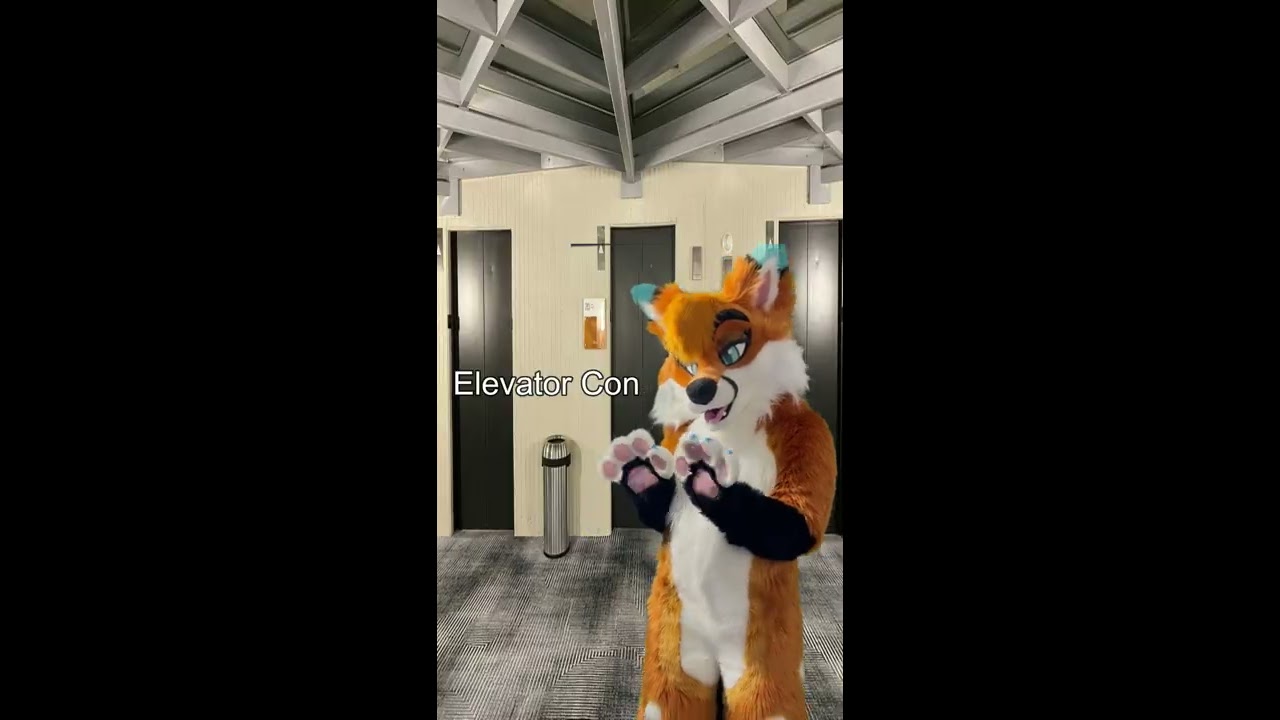 What To Expect At A Furry Convention