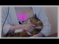 🔴【KU100/ASMR】耳かき、吐息、etc…癒しの音でリラックス🎵時々猫ちゃんたちも登場/Whispering/EarCleaning【やみん】