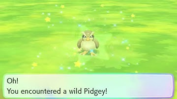 LIVE Shiny Pidgey in Pokemon Let