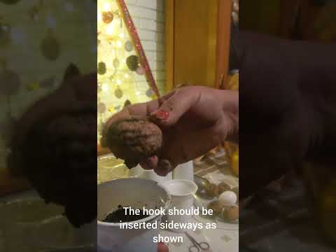 ვიდეო: როგორ გამოვიყენოთ კარავის თესლი?