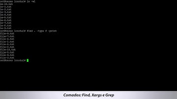Buscar palavras em arquivos: Comado Find, Xargs e Grep