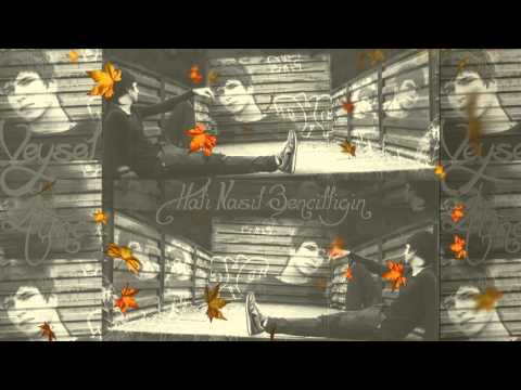 veysel-atınç---hali-nasıl-bencilliğin?-(lyric-video)