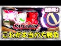 大勝負『パチスロ 機動警察パトレイバー』　レア役ストックしまくり打法【夜勤明け #456】