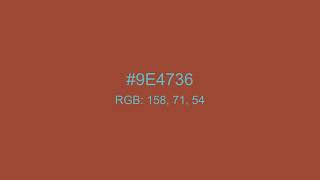 Project All Colours 9E4736 RGB 158,71,54