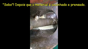 Para que serve a Farinha de carne?