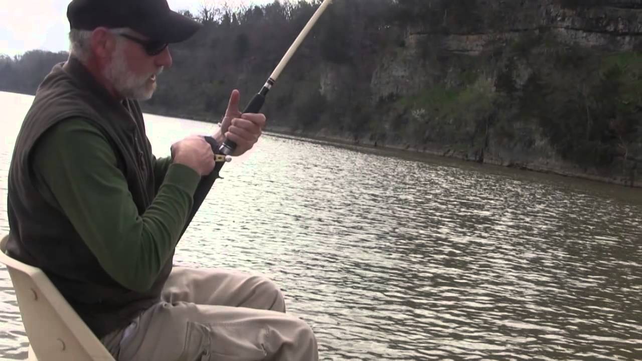 Season Chasers Spring Spoonbill & Mushrooms 123 YouTube