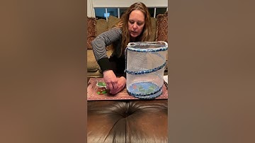 Chrysalis transfer to Butterfly net