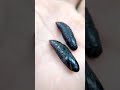 Life  inside the black pupa  !  | cofeebee hawk moth pupa  | #Shorts