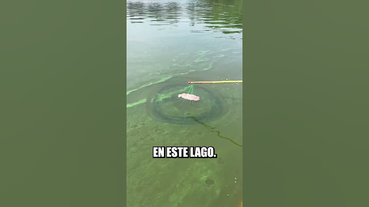Podrías pensar que estos pescadores están tratando de capturar una ballena #shorts