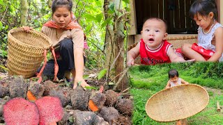 Single mother goes to the forest to pick potatoes-my ex-husband treats me well,should I forgive her