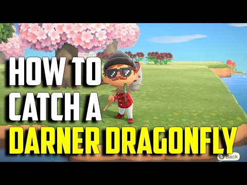 How to Catch a Darner Dragonfly | Darner Dragonfly ACNH | ACNH Darner Dragonfly | Darner Dragonfly