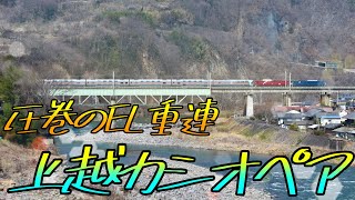 【大迫力!機関車重連】9011レ カシオペア紀行 東日本周遊号 EF64-1030 + EF81-80 + E26系客車12両