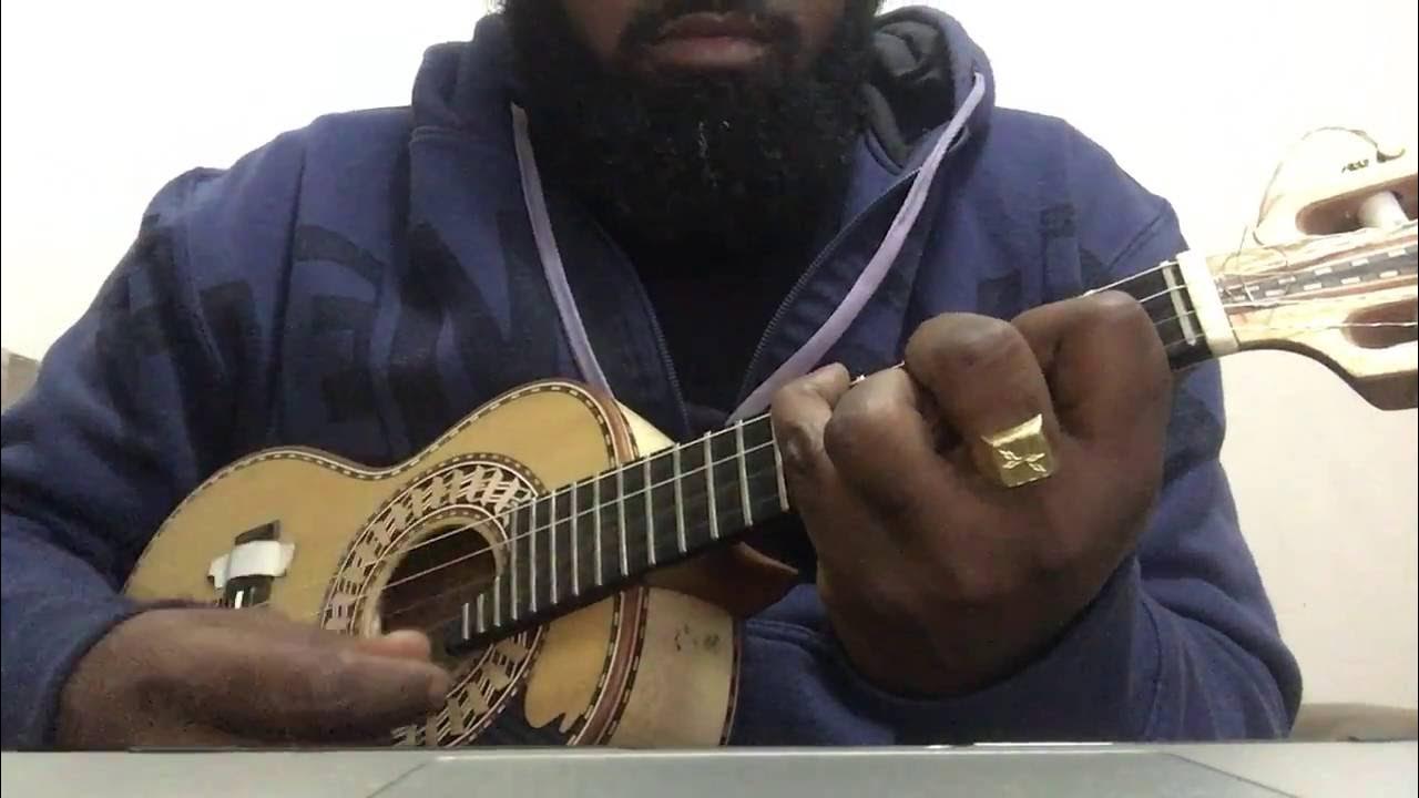 ARLINDO CRUZ E ARLINDO NETO - A SÓS - cavaco ARLINDO CRUZ E ARLINDO NETO - A SÓS - cavaco