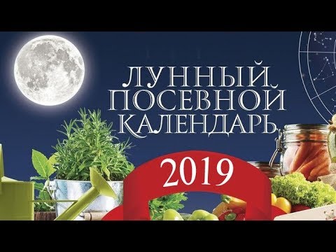 Лунный посевной календарь 2019 года садовода и огородника Лунный посевной календарь 2019 года садовода и огородника