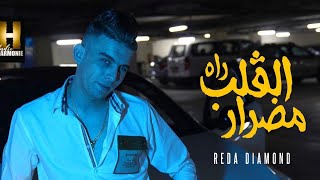 Reda Diamand El Galb Rah Madrar [Official Video] (2023)/القلب راه مضرار avec Mito