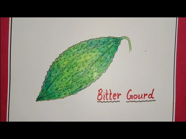 Bitter Gourds