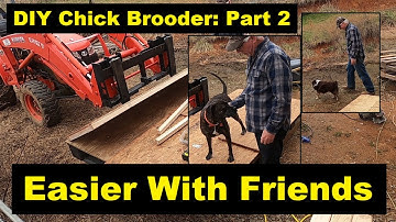 Simple Easy Brooder Walls - DIY Chick Brooder Part 2 - #homesteading #chicken  #chickens
