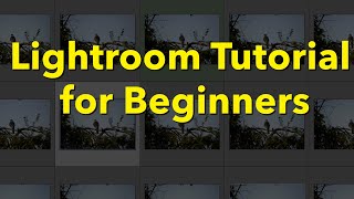 Lightroom (Classic) Tutorial for Beginners