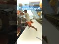 Try it! #viral #skateboardvibes #gaming #skatebord #memes #shortvideo #skate #gta #funnymemes #clean