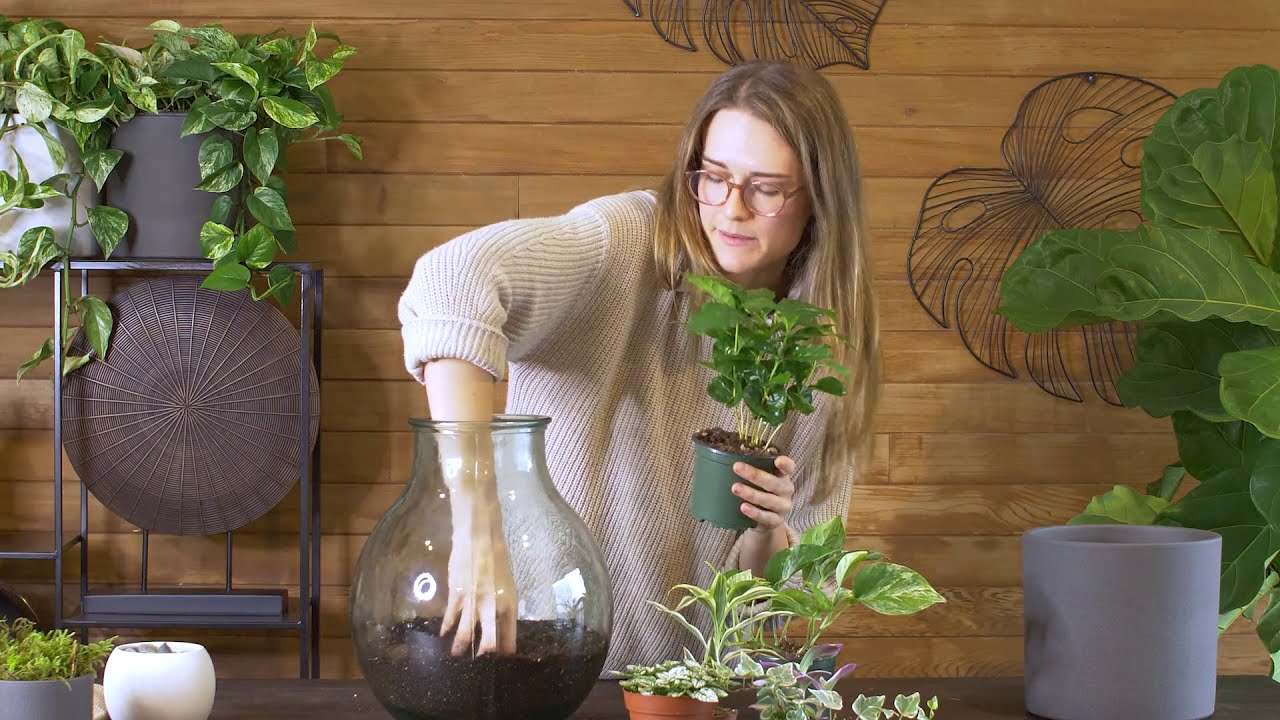 How to build Boris the DIY Terrarium Stepbystep tutorial YouTube