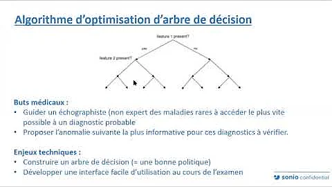 Stephanie Allassonniere