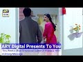 Watch In The Race of Attaining Luxuries in Life Online In Hd