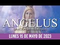 Ángelus de Hoy LUNES 15 DE MAYO DE 2023 ORACIÓN DE MEDIODÍA