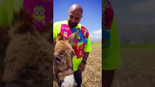 Ini Mini Sini -- ايني ميني سيني