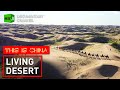The locals revitalising Inner Mongolia’s Kubuqi Desert | This is China