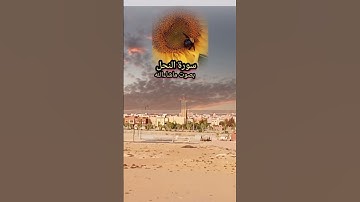 سورة النحل بصوت القارئ محمد الجلالي تلاوة ماشاءالله 💯❤️🇲🇦. #سورةالنحل